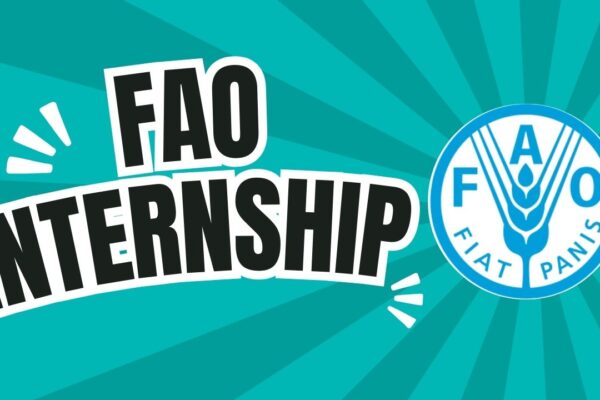 FAO Internship Program: How To Apply to a Rewarding Experience