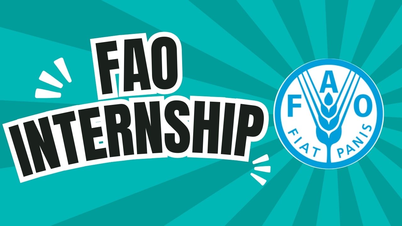 FAO Internship Program: How To Apply to a Rewarding Experience